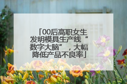 00后高职女生发明模具生产线“数字大脑”，大幅降低产品不良率